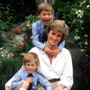 Young Prince Harry and Prince William with Princess Diana